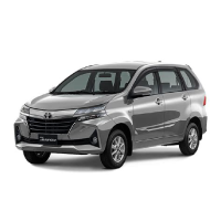 Avanza E Silver
